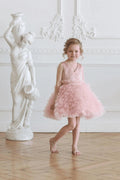 Alana Princess blue dress pink white gold