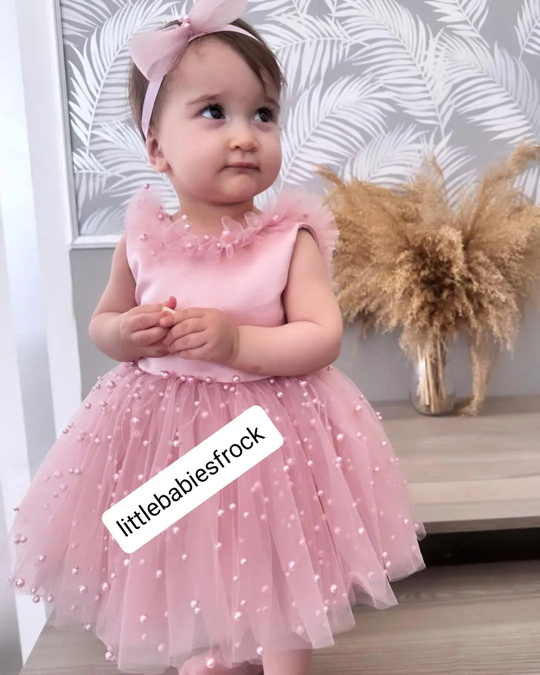 Baby Girl Photo Shoot pink dress cemrestore