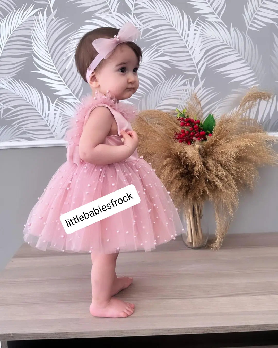 Baby Girl Photo Shoot pink dress cemrestore