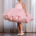 Irene Dress – Pink