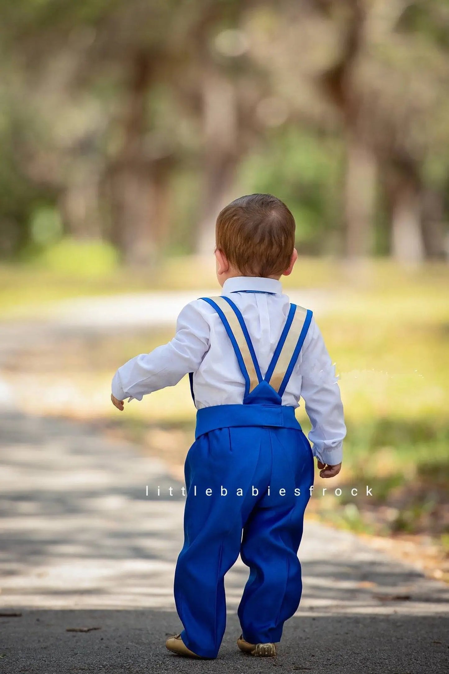 Prince William Tux Royal Blue and Gold cemrestore